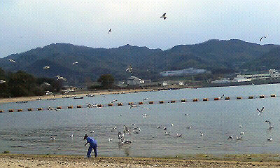 海辺でほのぼのとした写真