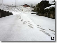 2011年2月14日津田町山手での雪の写真③