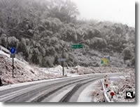 2011年2月14日津田町山手での雪の写真②