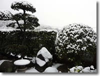 2011年2月14日津田町山手での雪の写真④