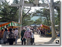 2011年津田石清水八幡宮 春市の写真②