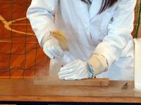 第9回 津田ふれあいまつり 津田高自然科学部：おもしろ実験「液体窒素で凍ったバナナで釘を打つ」写真