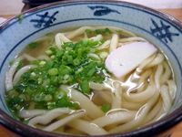 さぬきうどん「羽立」のかけうどんの写真