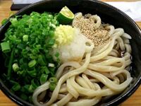 さぬきうどん「羽立」のぶっかけうどんネギ盛りの写真