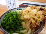 讃岐うどん「羽立」年明けうどんの写真