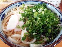 讃岐うどん「羽立」 ひやあつ大 ねぎだくの写真