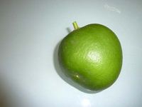 形の変わった晩白柚の写真