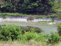 平成25年6月5日さぬき市津田町鶴羽の溜め池の写真