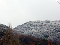 2013年津田町初雪の写真①