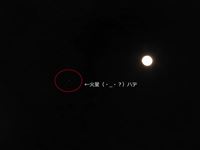 2014年4月14日火星最接近？？の写真