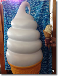 日本ドルフィンセンター和三盆ソフトクリームの写真