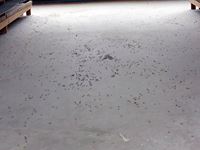 2014年7月13日津田町で大量の羽アリが死んでいた写真