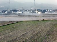 2015年3月17日さぬき市津田町で田んぼから霧が出ている写真
