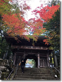 2016年11月12日 11/11に撮影した大窪寺の紅葉の写真①