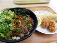 2017年2月24日 さぬき市津田町「津田の松原サービスエリア あなぶき家」肉うどん（わかめトッピング）の写真