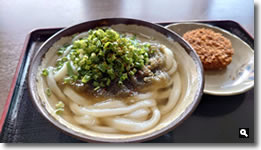 2019年12月24日 さぬきうどん処 麺でぃ～ とろろ昆布うどん の写真