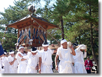 2009年 津田の秋祭り 御神輿 の写真③