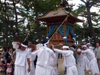 2012年 津田石清水神社 秋季例大祭 御輿の写真①