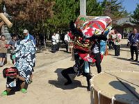 2013年 津田石清水神社 秋季例大祭 獅子舞の写真②