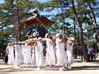 2013年 津田石清水神社 秋季例大祭 御輿の写真