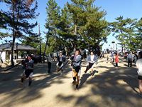 2013年 津田石清水神社 秋季例大祭 やっこの写真④