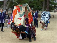 2014年 津田石清水神社 秋季例大祭 獅子舞の写真③