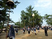 2016年 津田石清水神社 秋季例大祭 やっこの写真①