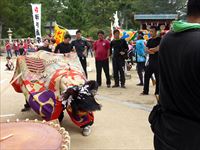 2017年 津田石清水神社 秋季例大祭 松原の獅子舞の写真