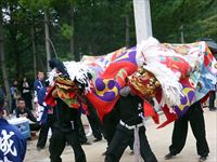 2018年 津田石清水神社 秋季例大祭 獅子舞 城北の写真②