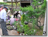 2007年 津田石清水八幡宮 春市の模様の写真⑨