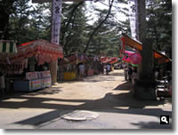 2007年 津田石清水八幡宮 春市の模様の写真②