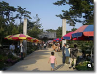 2007年 津田石清水八幡宮 春市の模様の写真①