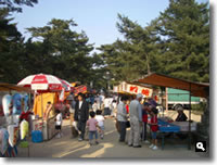 2007年 津田石清水八幡宮 春市の模様の写真②