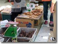 2009年 津田石清水八幡宮 春市の模様の写真⑮