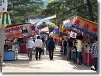 2010年 津田石清水八幡宮 春市の模様の写真④