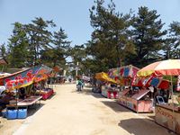 2014年 津田石清水八幡宮 春市の写真②