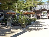 2019年5月11日（土）津田石清水神社春市の苗木販売の写真