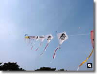 第17回津田の松原凧揚げ大会 の写真④