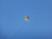 第20回津田の松原凧揚げ大会「凧揚げ」の写真⑤