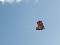 第25回津田の松原凧揚げ大会「凧」の写真④