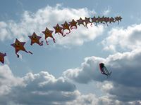 第25回津田の松原凧揚げ大会「凧」の写真⑥