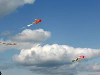 第25回津田の松原凧揚げ大会「凧」の写真⑧