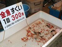 2011年 津田の夏越の金魚すくいの写真①