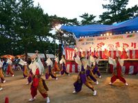 2011年 津田まつり よさこい踊り「高松よさこい連」の写真②